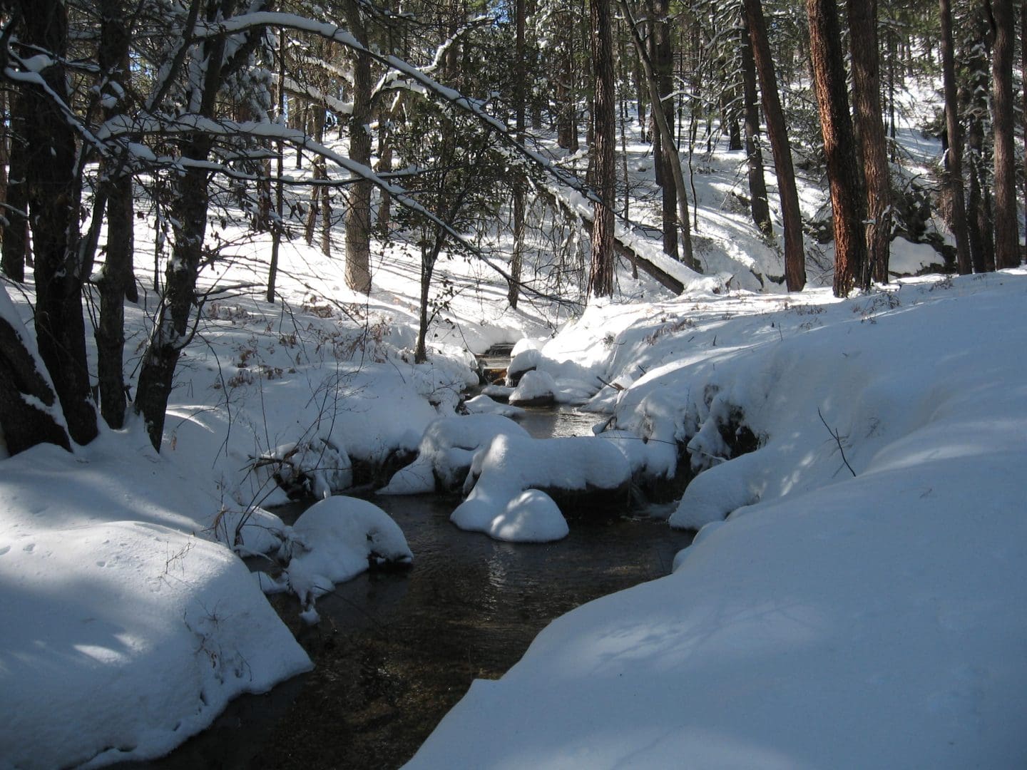 Snow, Creek, Rincon Mountains, Saguaro National Park