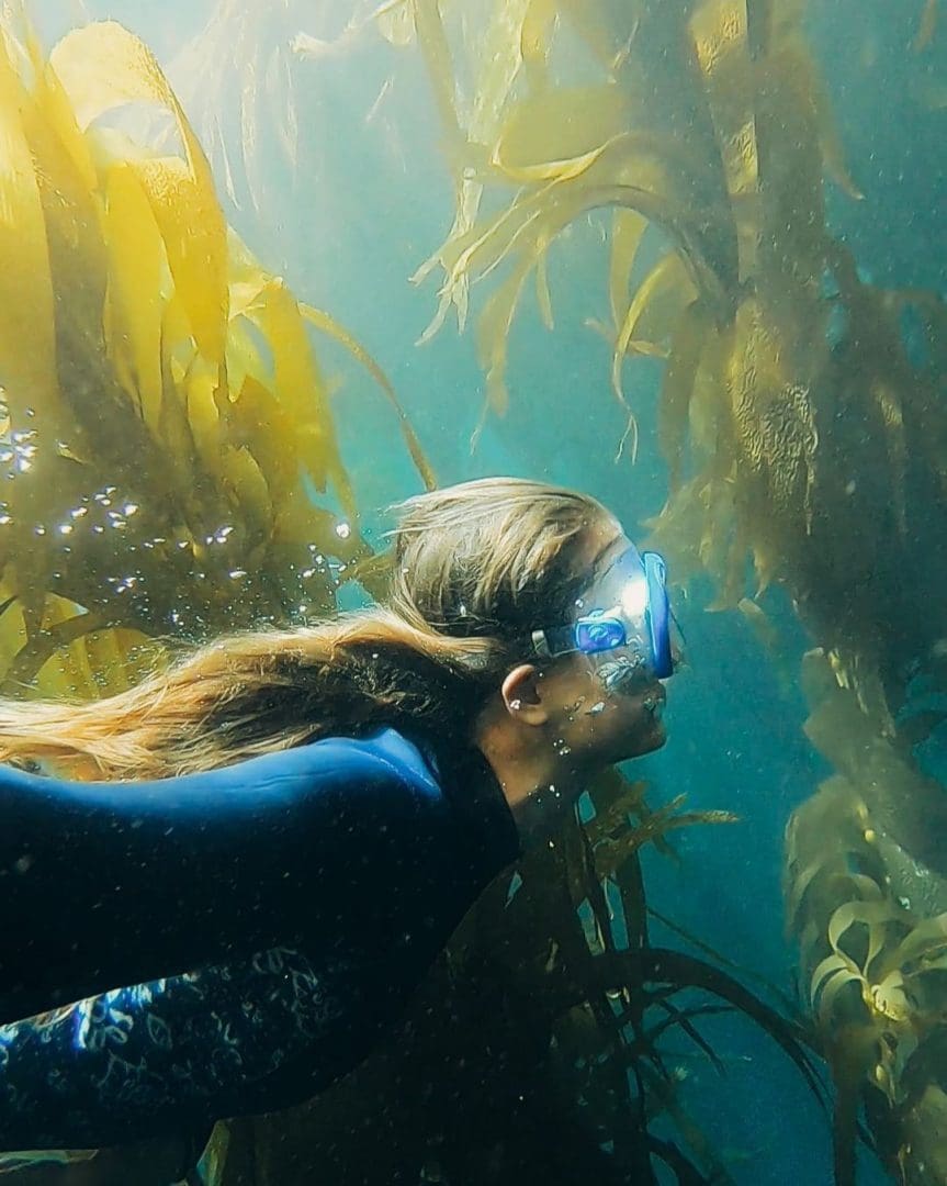 Snorkeler at Channel Islands National Park
