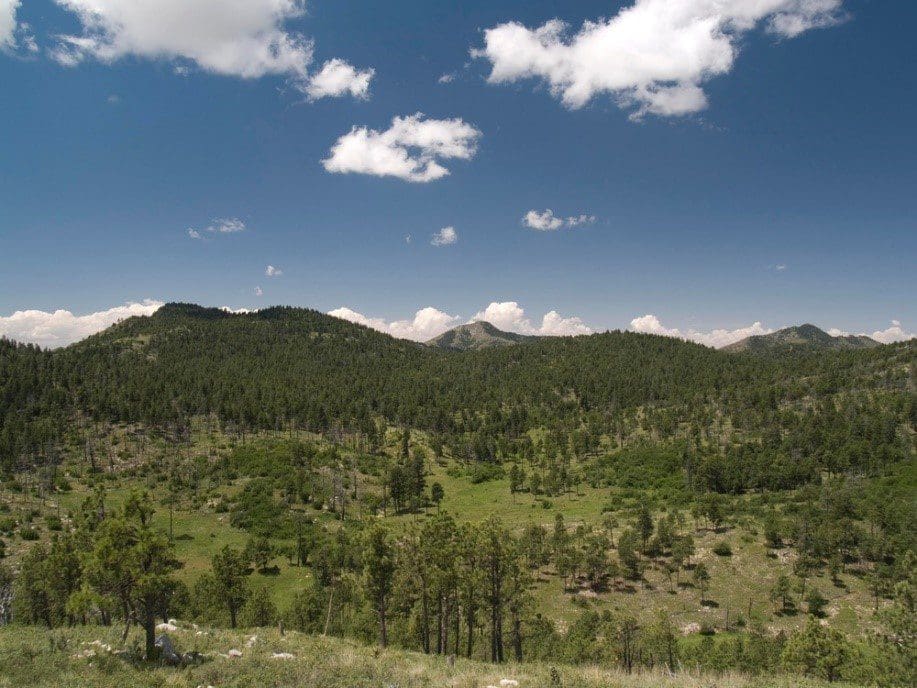 Guadalupe bowl area