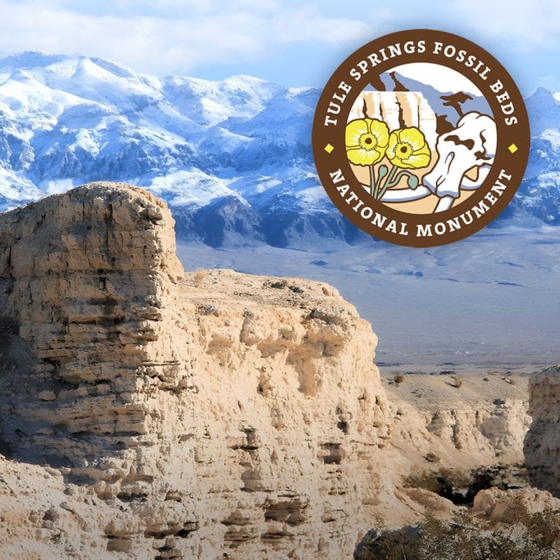 Round logo on a photo of Tule Springs Fossil Beds National Monument with snowy mountains in the background