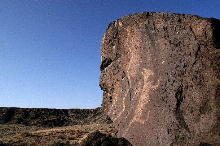Petroglyph National Monument. Coyote petroglyph. Rattlesnake Petroglyph