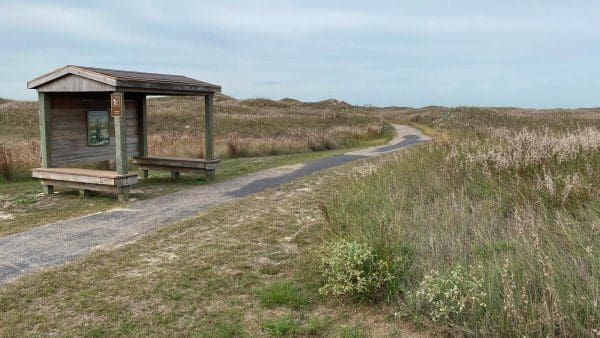 A paved trail with grassy fields at Padre Island National Seashore
