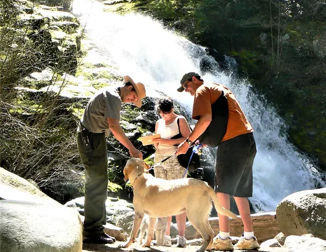 White dog with park ranger and two adults in front of water falls at Whiskeytown Falls