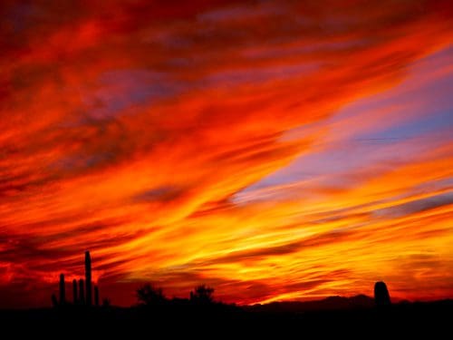 Fiery red sunset in Saguaro National Park
