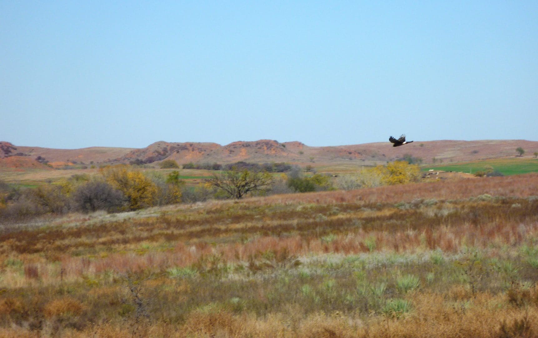 Washita Battlefield National Historical Site