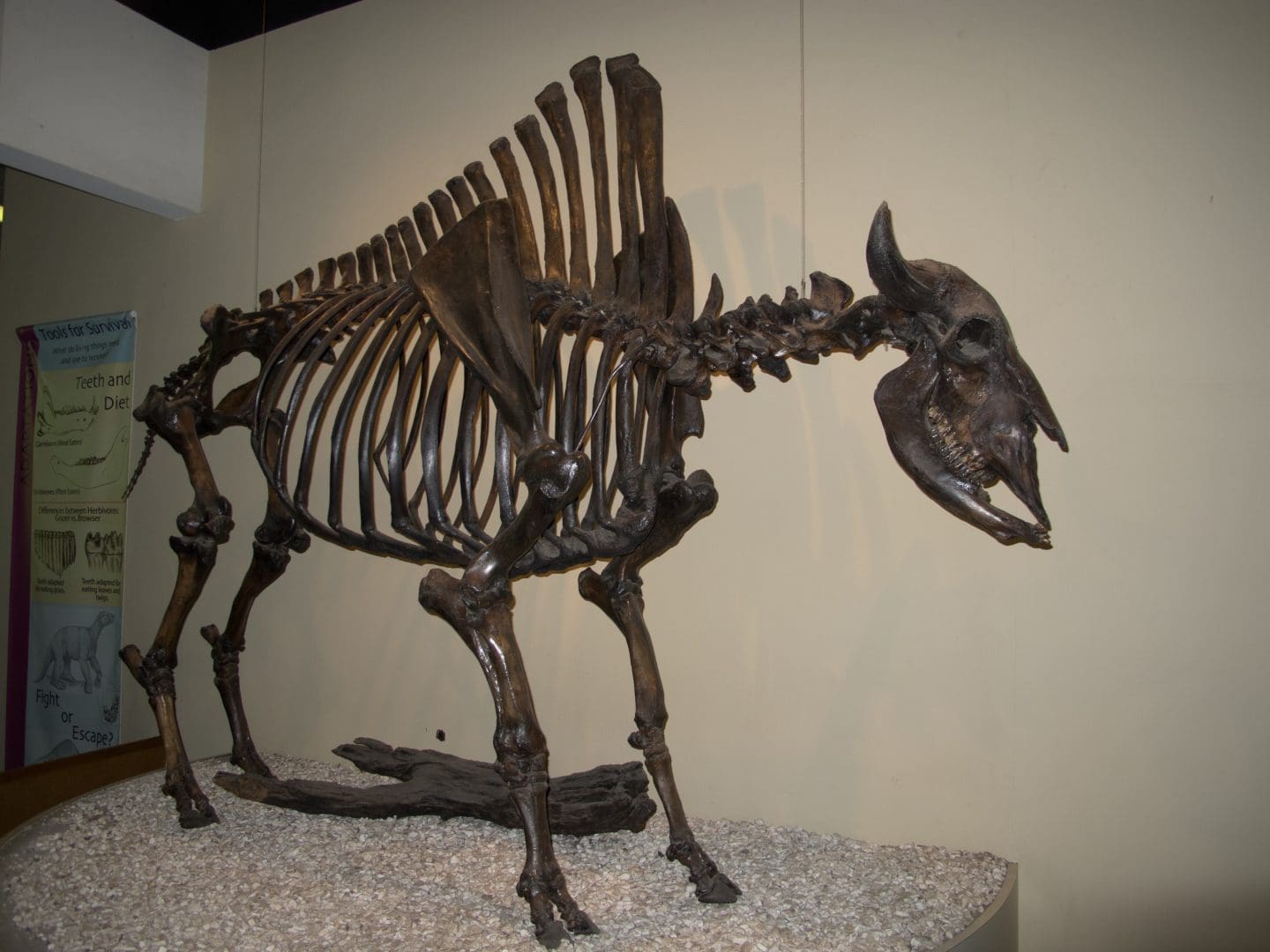 La Brea Tar Pits, Los Angeles