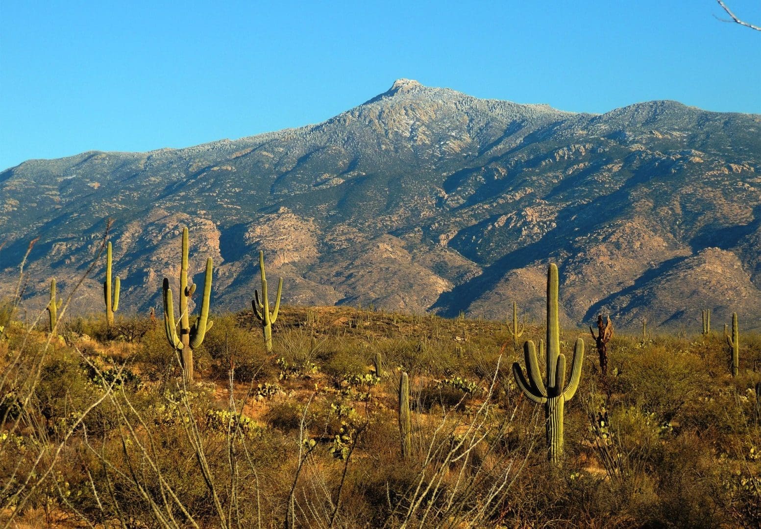 Saguaro National Park, Rincon Mountains