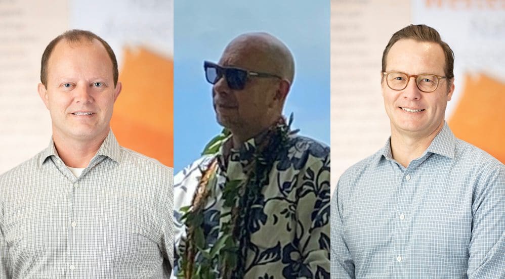 Three new board members