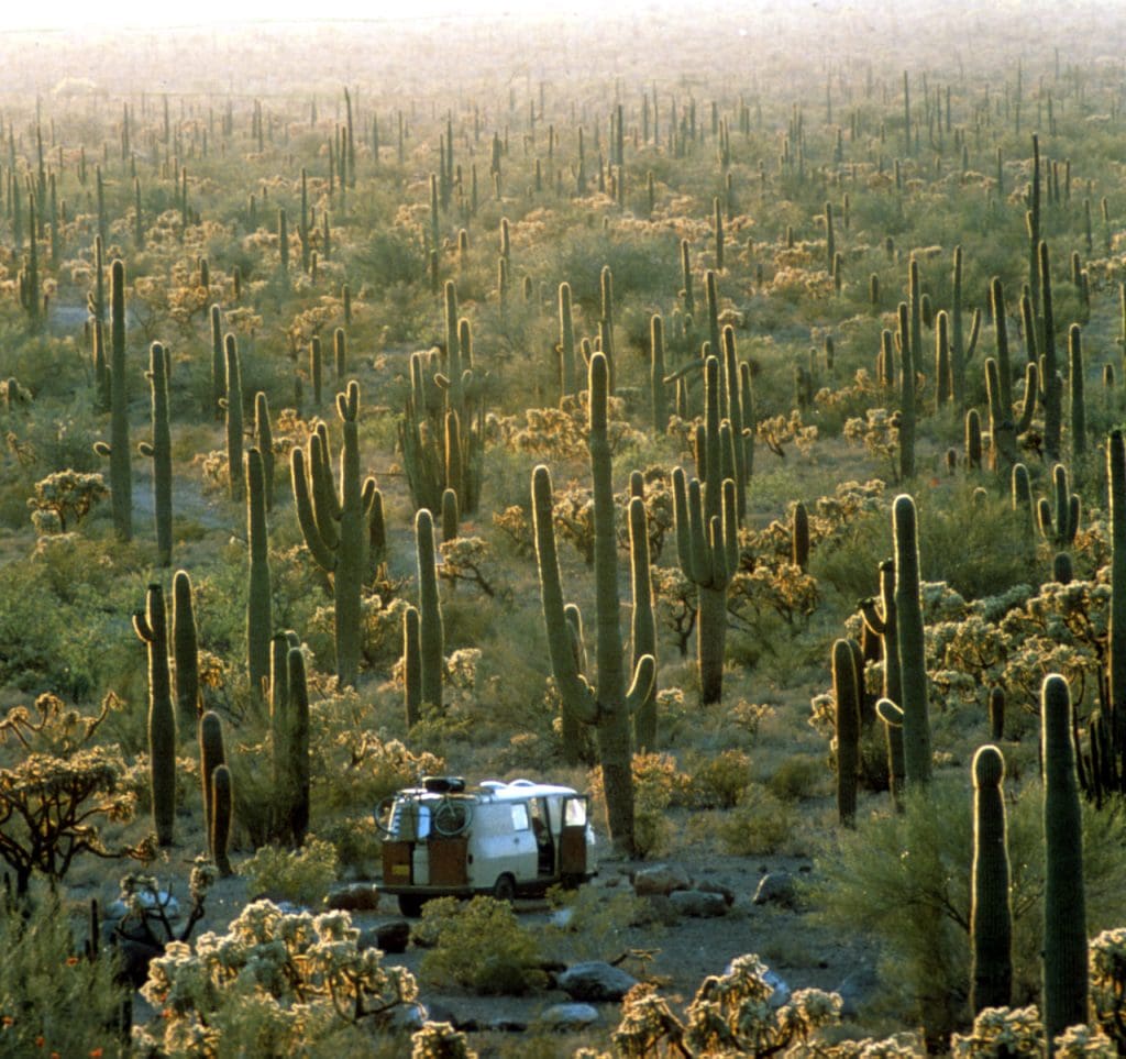Camper stops amid the Sonoran Desert with saguaro and cholla cactu in Arizona's beautiful national parks