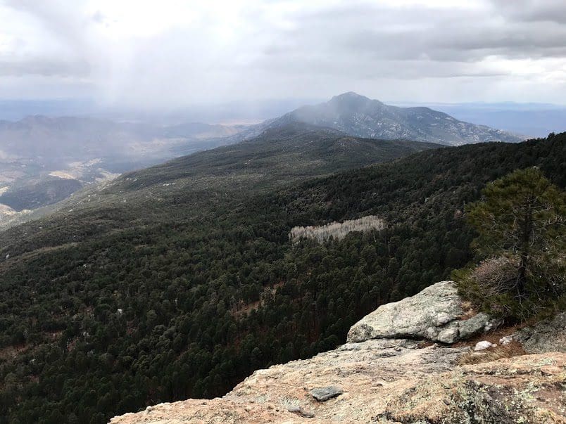Rincon Mountains, Saguaro National Park