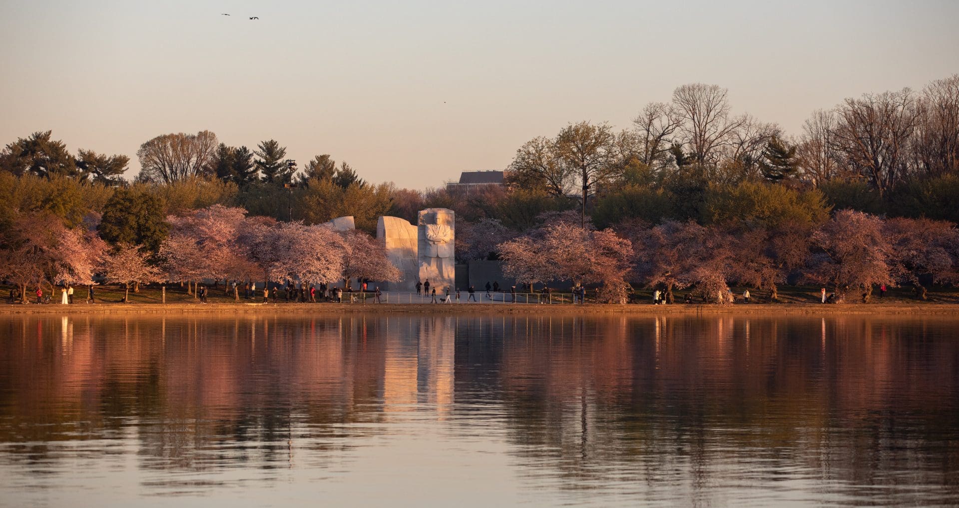 Tidal basin and Martin Luther King Jr. Stone of Hope