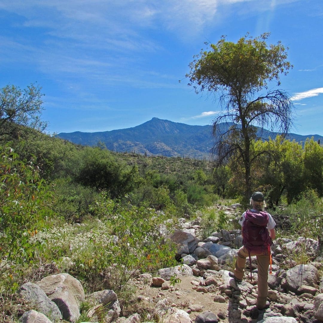 Saguaro National Park, Hiker on Rincon Mountains