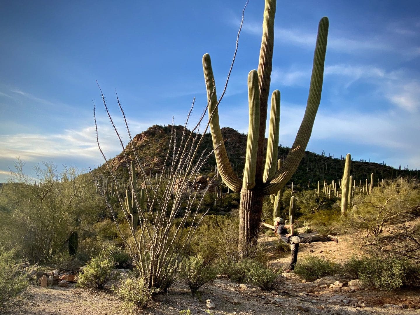 Hiker posing with giant Saguaro at Saguaro National Park