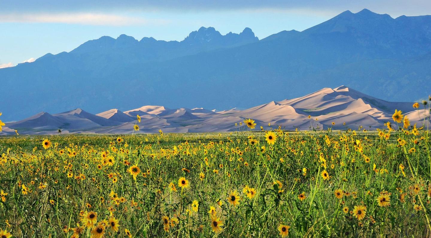 Great Sand Dunes