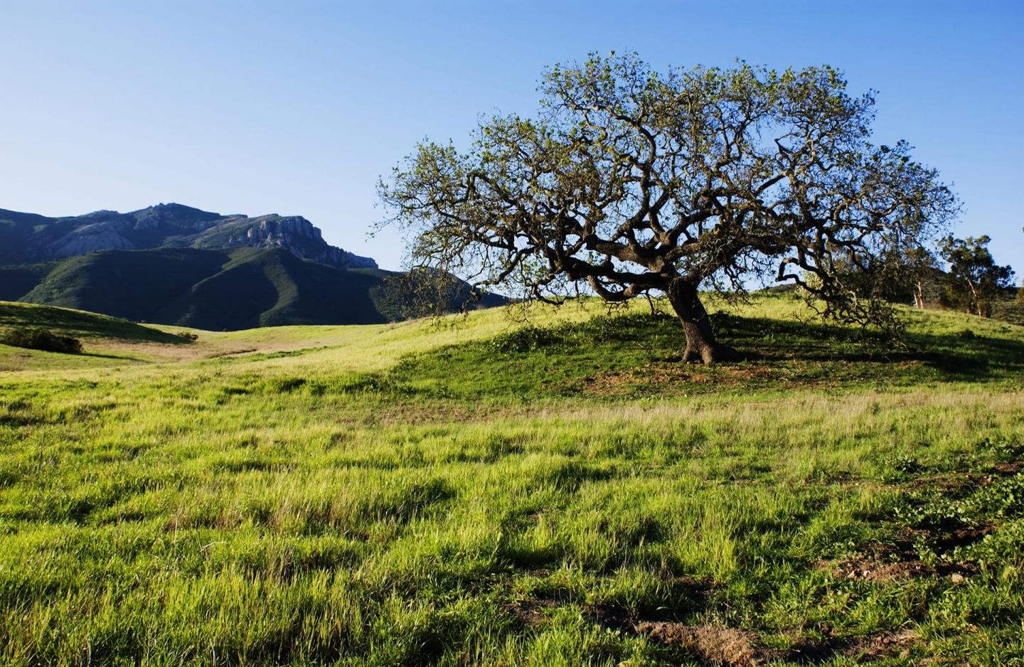 Santa Monica Mountains