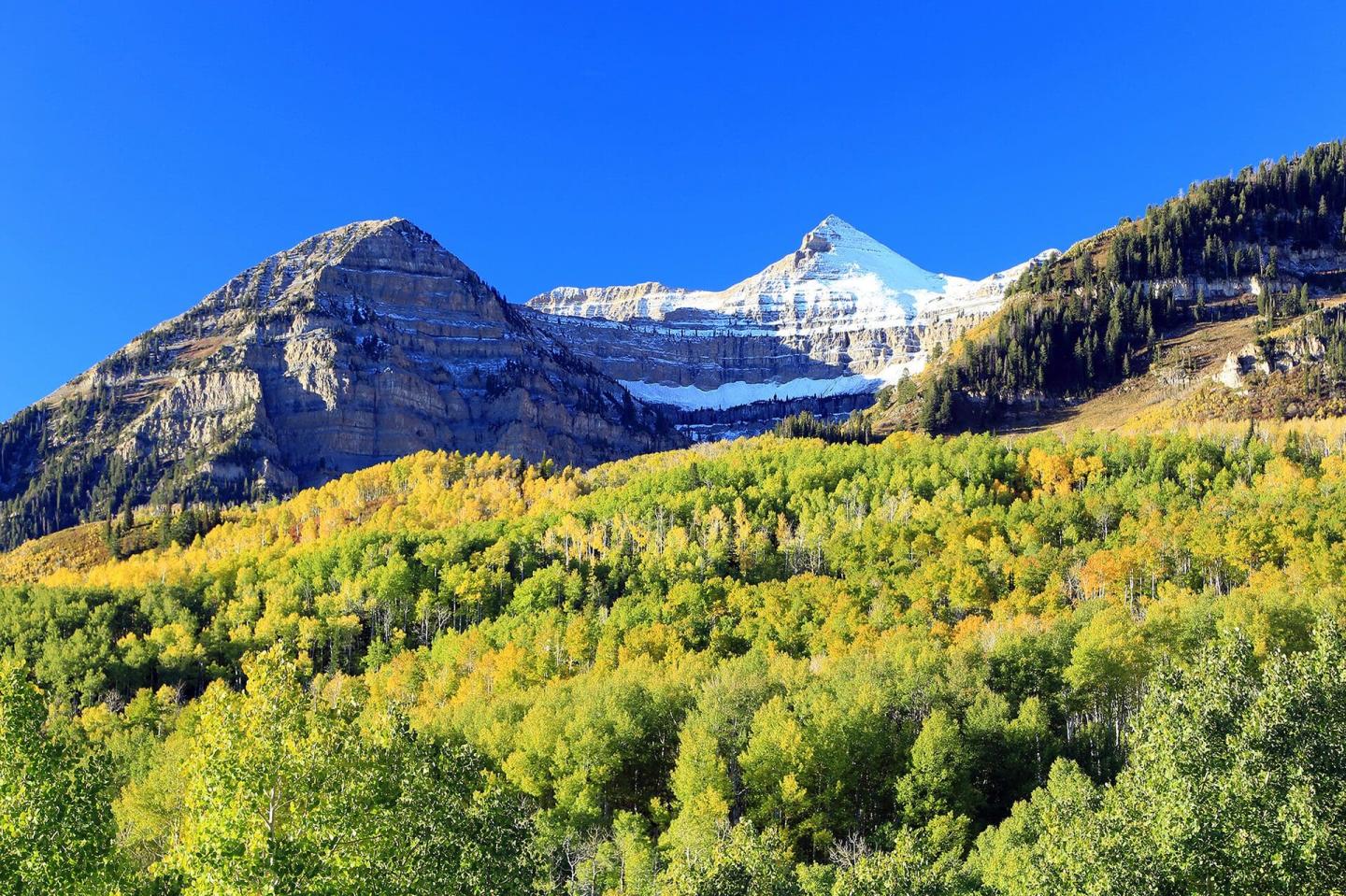 Timpanogos Cave