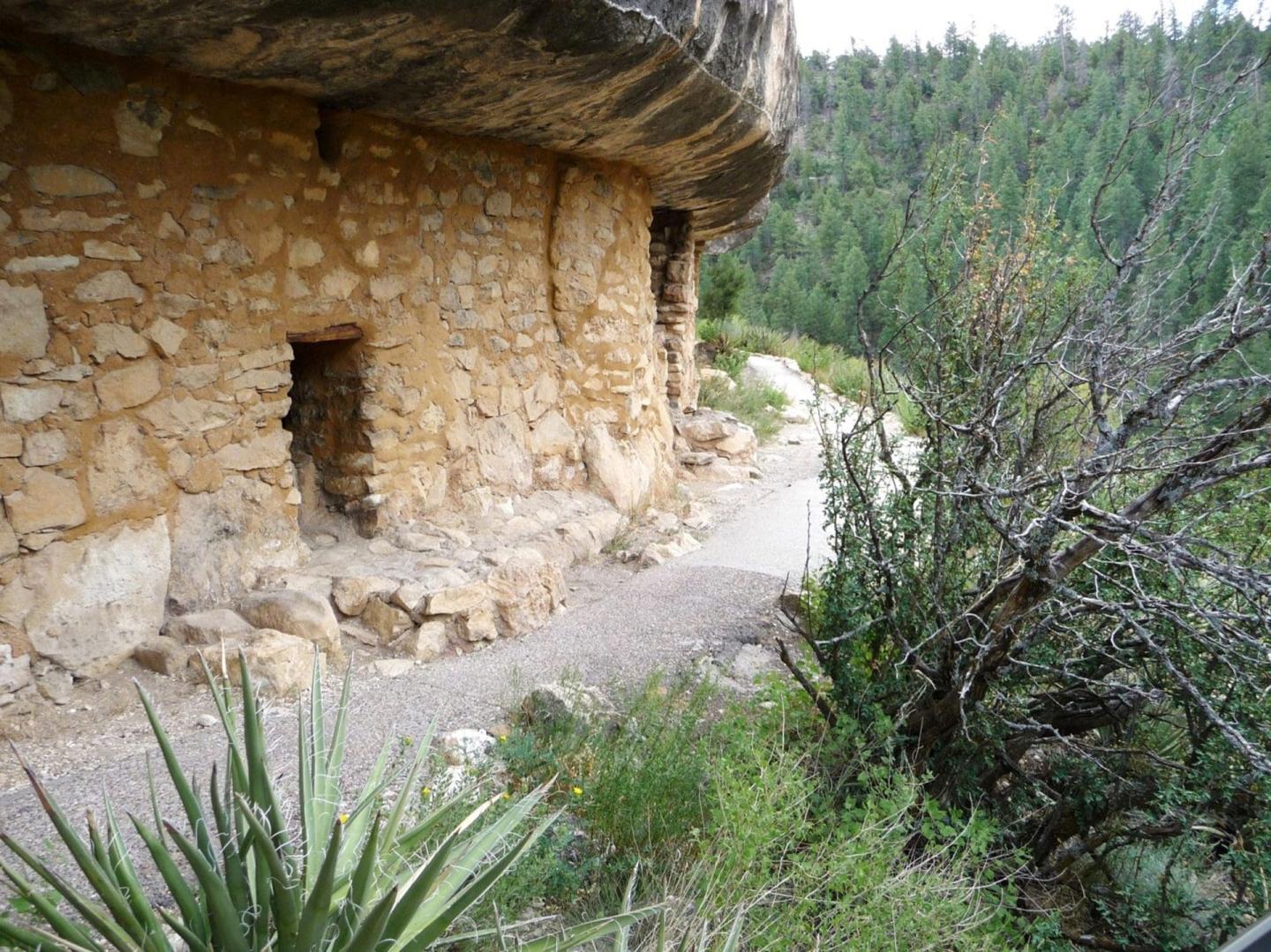 Walnut Canyon