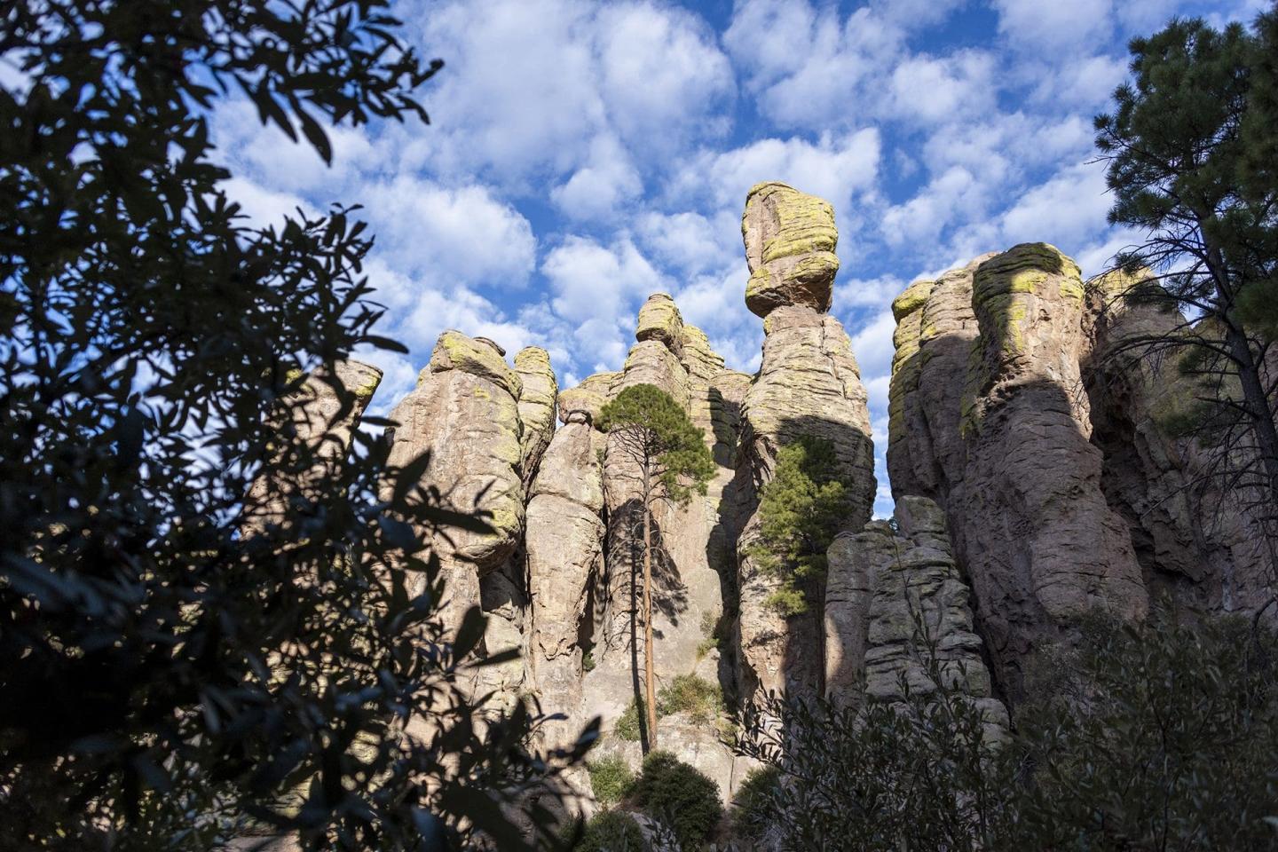 Help Chiricahua National Monument Commemorate 100 Years All Year Long
