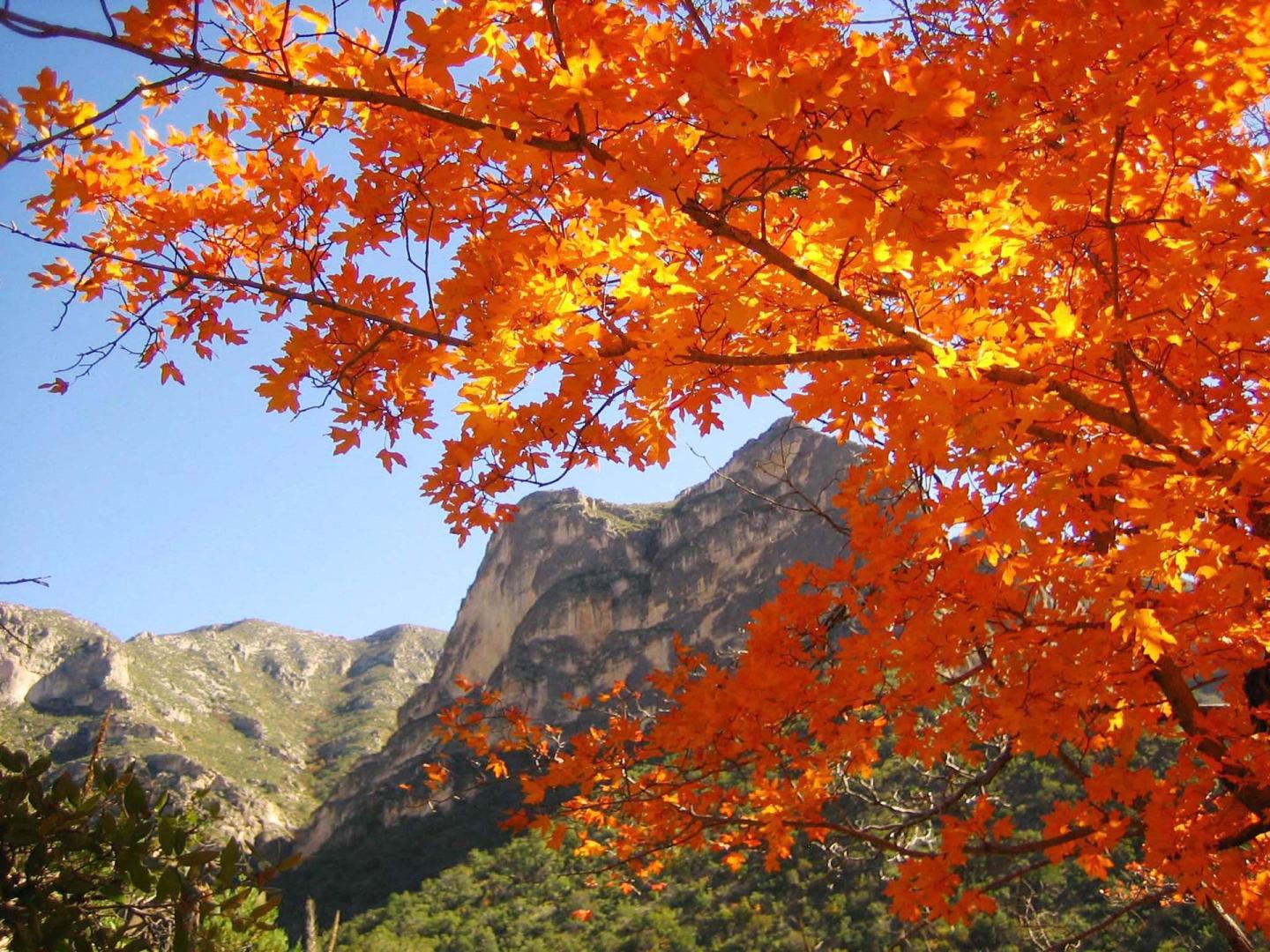Five Spectacular Things to Do in National Parks This Fall