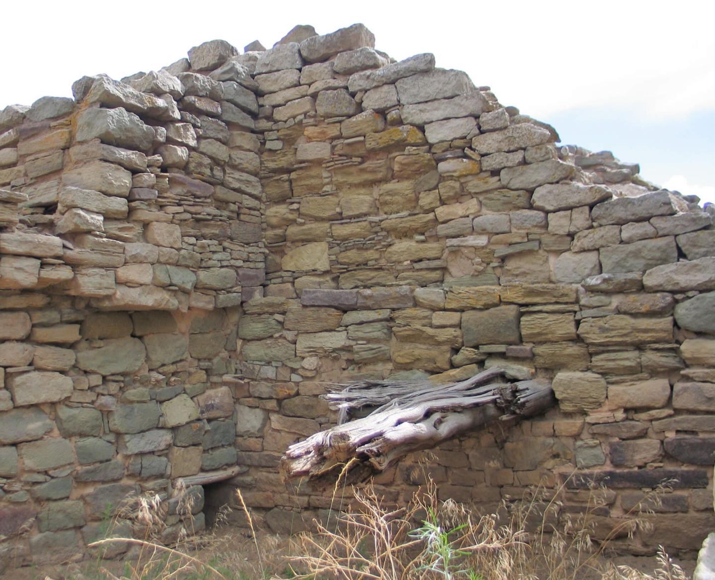 Timber Procurement Dynamics at the Descendant Chacoan Cultural Center of Aztec Ruins