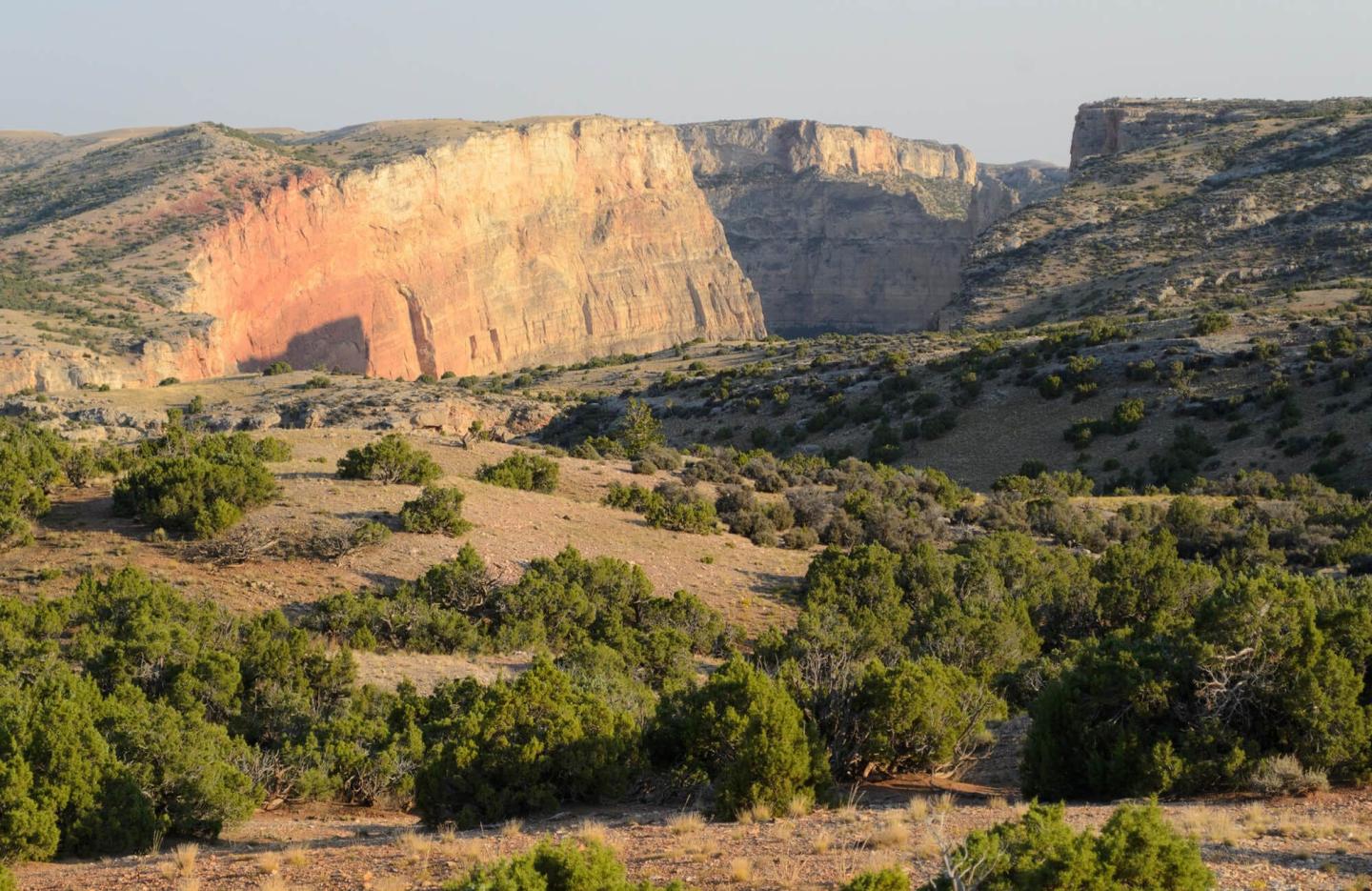 Aquatic Microinvertebrate Inventory and Assessment of Springs and Seeps within Bighorn Canyon National Recreation Area