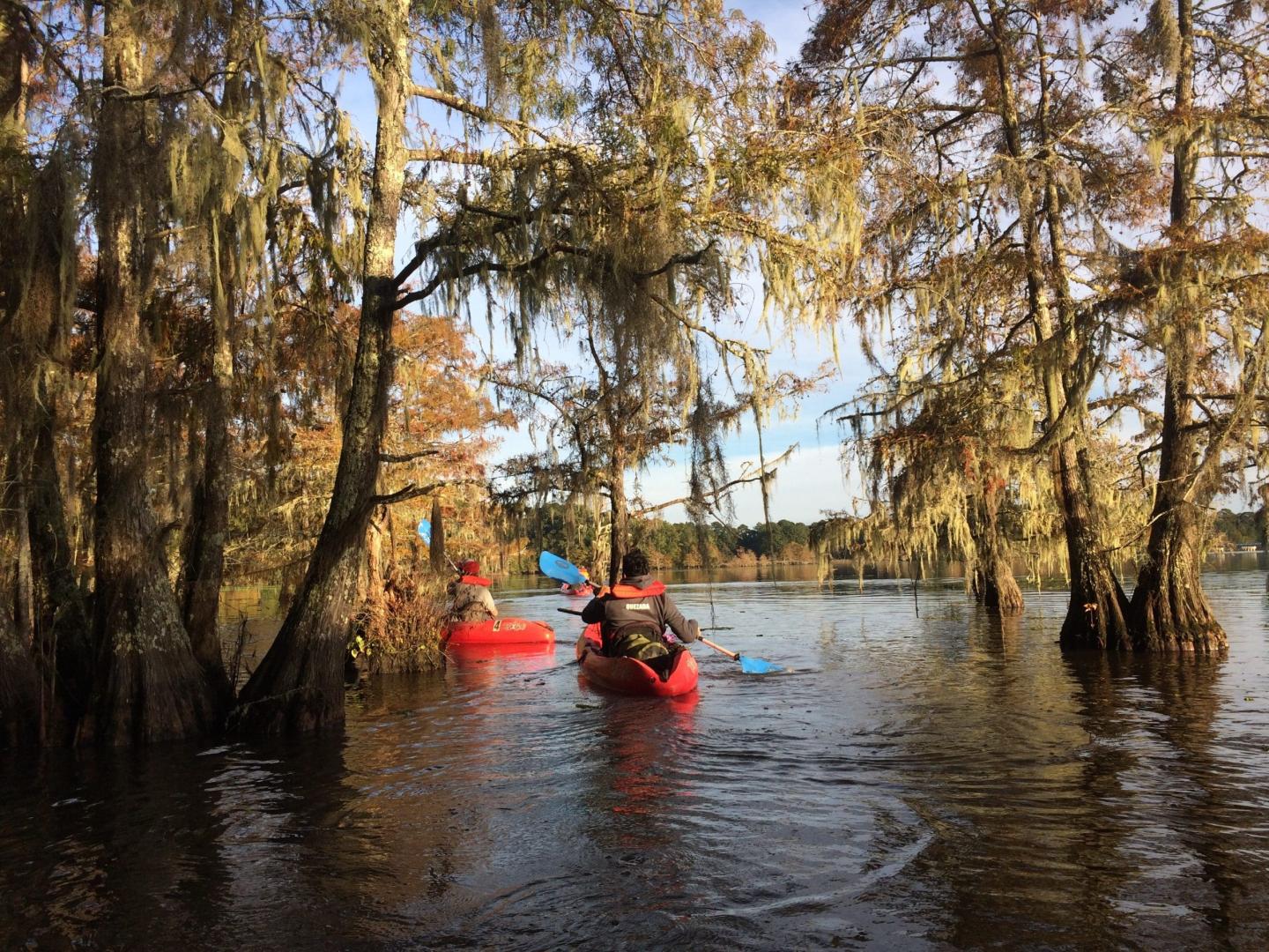Experience the Wonder of Big Thicket National Preserve