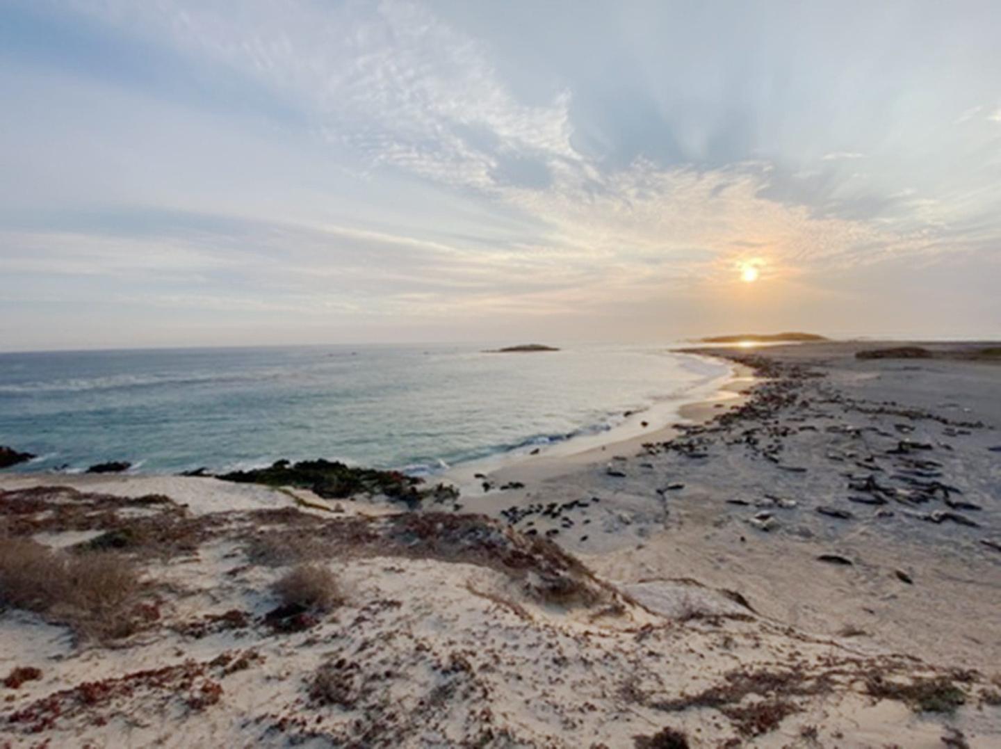 Historical Ecology and Archaeology on San Miguel Island