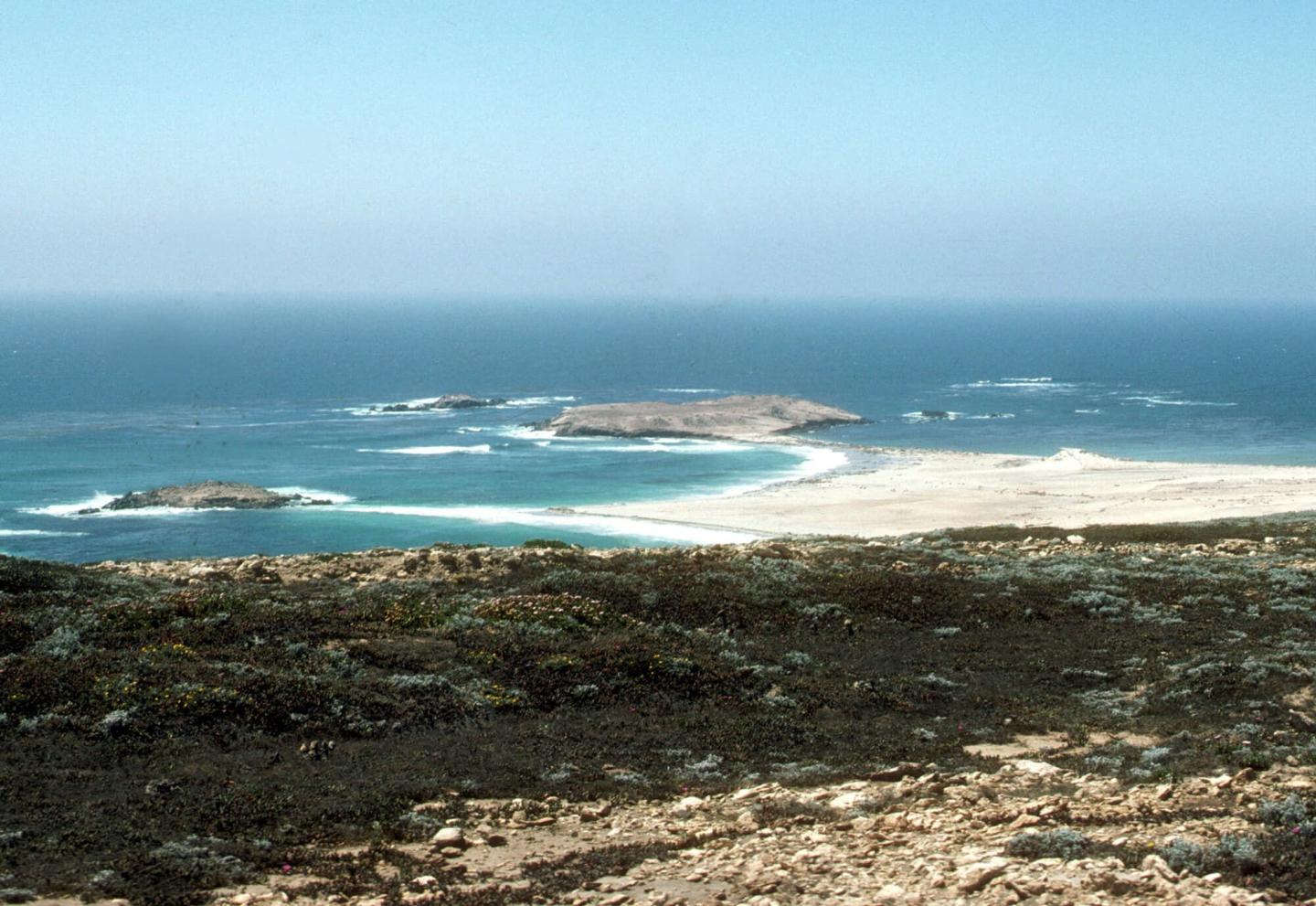 Archaeology and Historical Ecology of Point Bennett, San Miguel Island