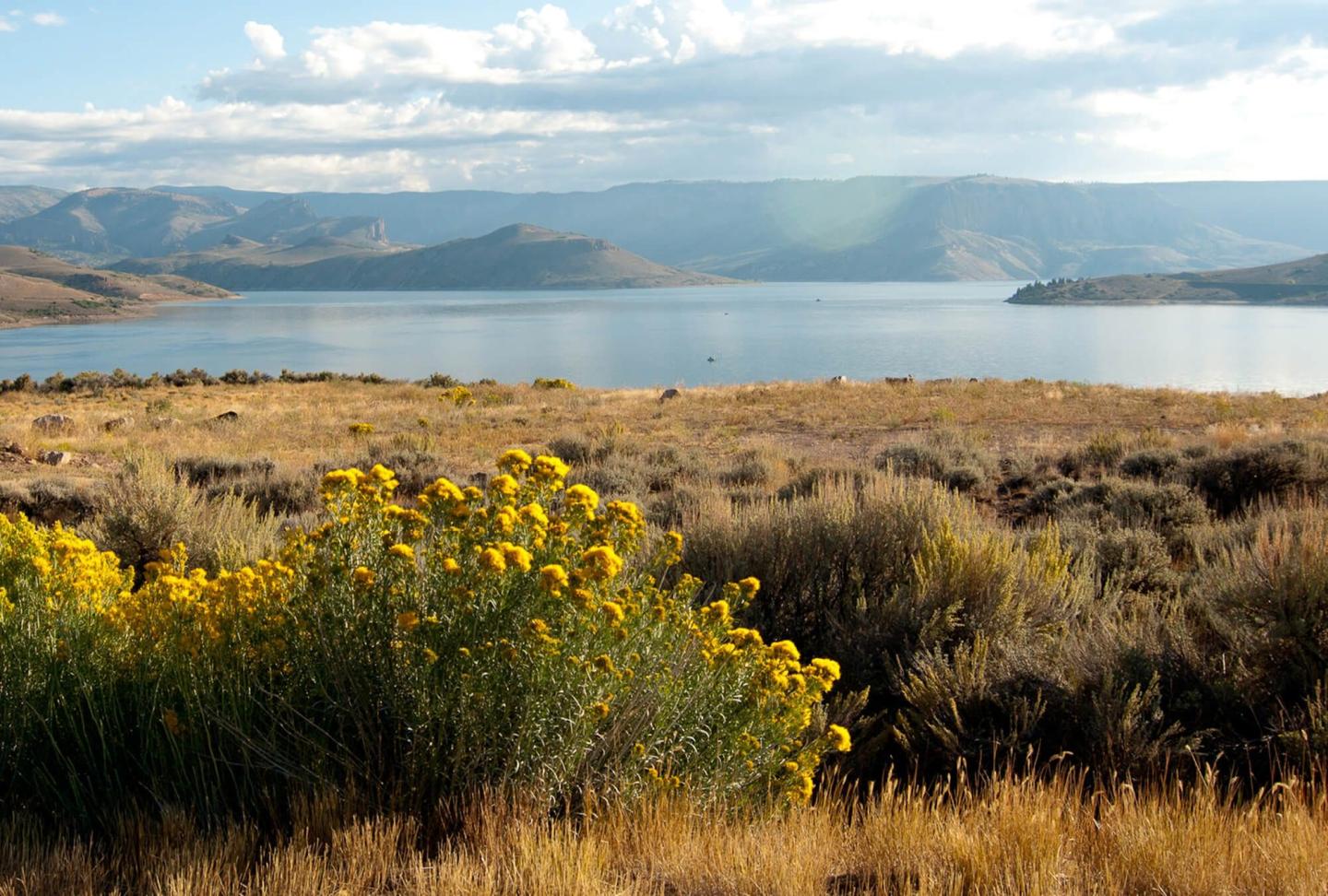 Acquire Gunnison Sage-Grouse Location Data for Habitat Utilization Modeling