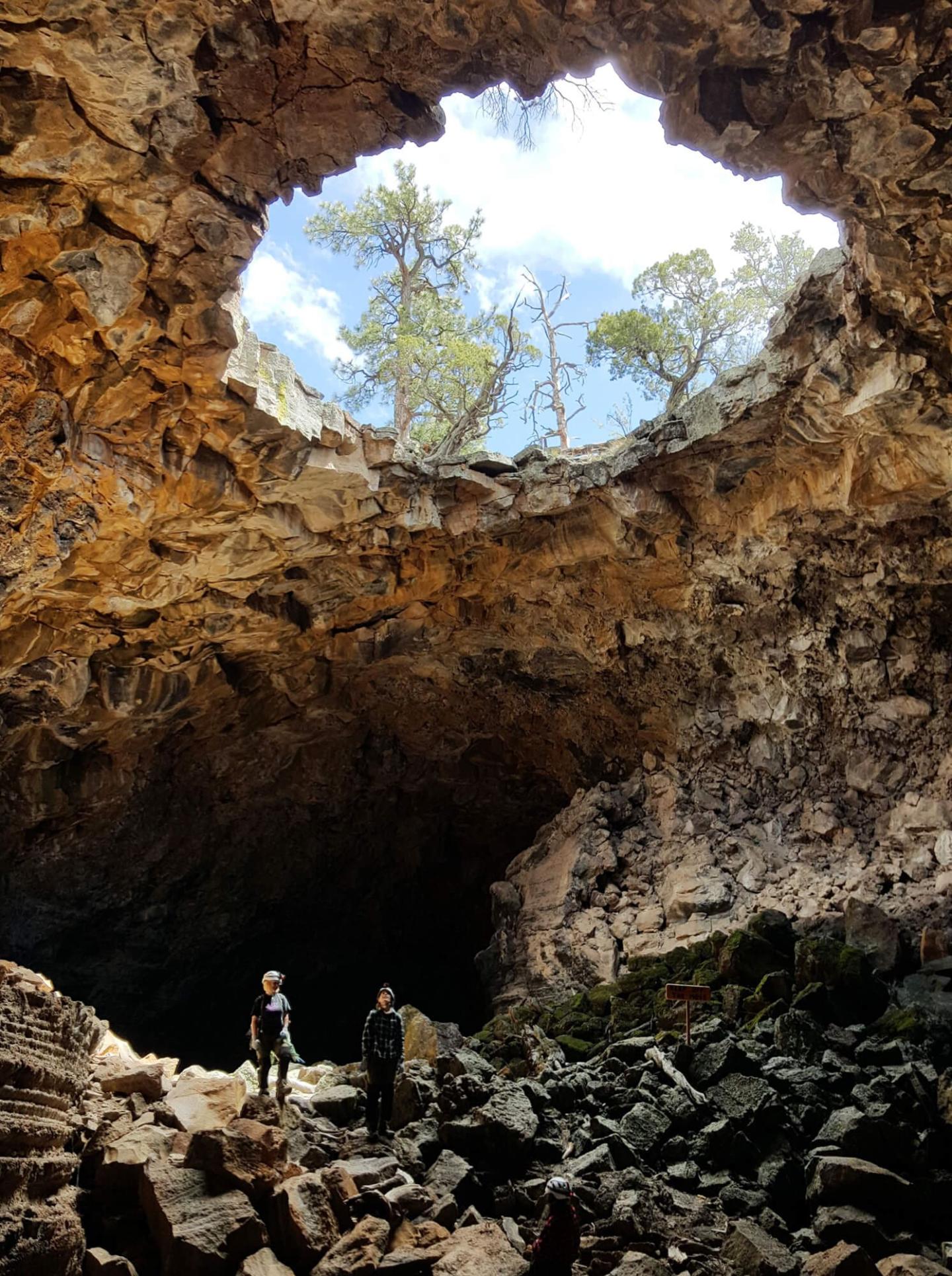 Are Caves a Source of Bat Microbiota? A Comparison of Microbial Communities in Caves and Cave Roosting Bats in El Malpais National Monument
