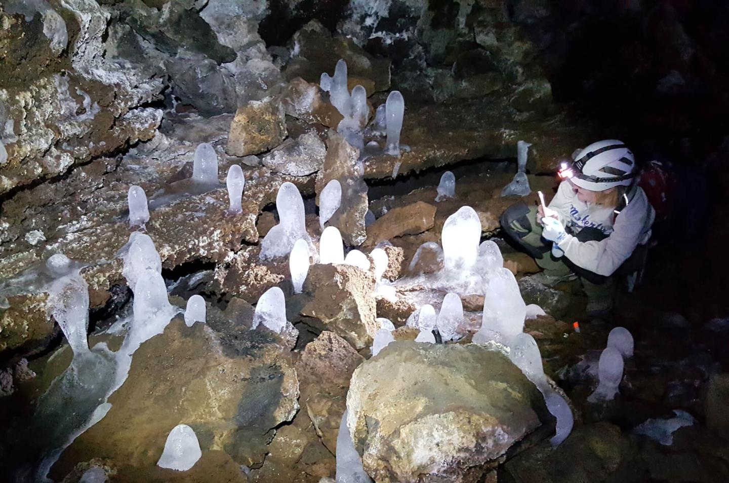 Climate and Vegetation Reconstructions Using Ice Cores in Lava Tubes at El Malpais National Monument