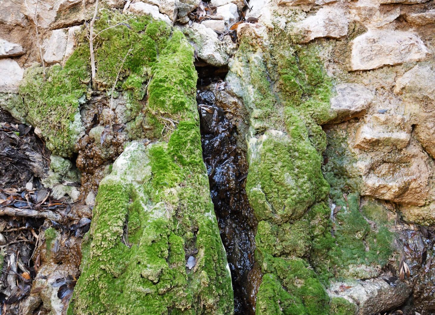 Quantify Soil-Water Percolation to Apache Spring