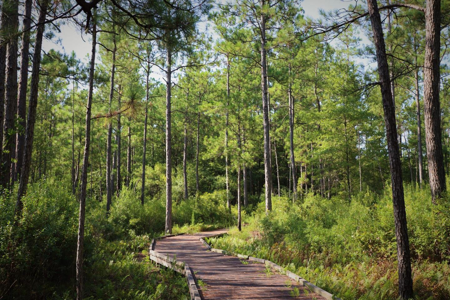 Western National Parks Association Offers Free AllTrails+ Membership with Purchase, Plus Extra Discounts for Members of the Park Protector Program