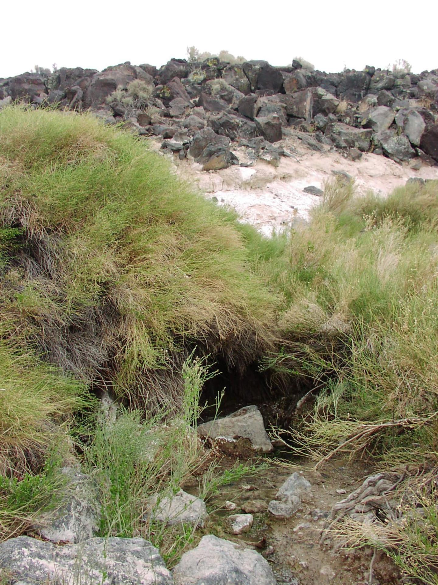 Association of Prehistoric Human Habitation with Springs and Wetlands in the Mojave Desert