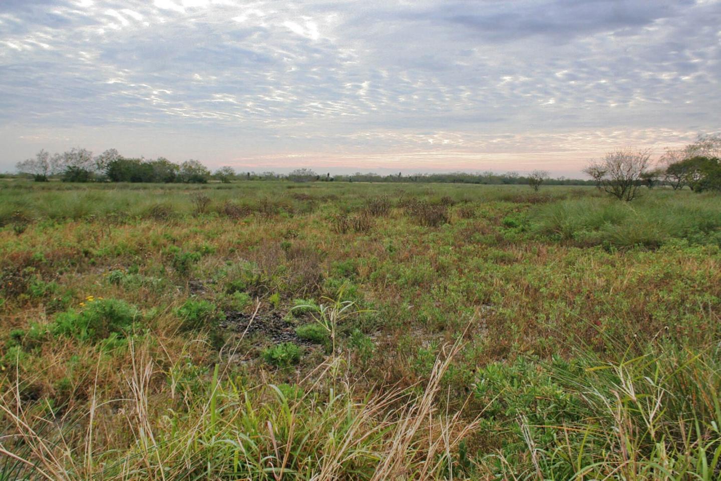 Research U.S. National Archives to Locate Maps of Historic Roads of the Rio Grande Valley