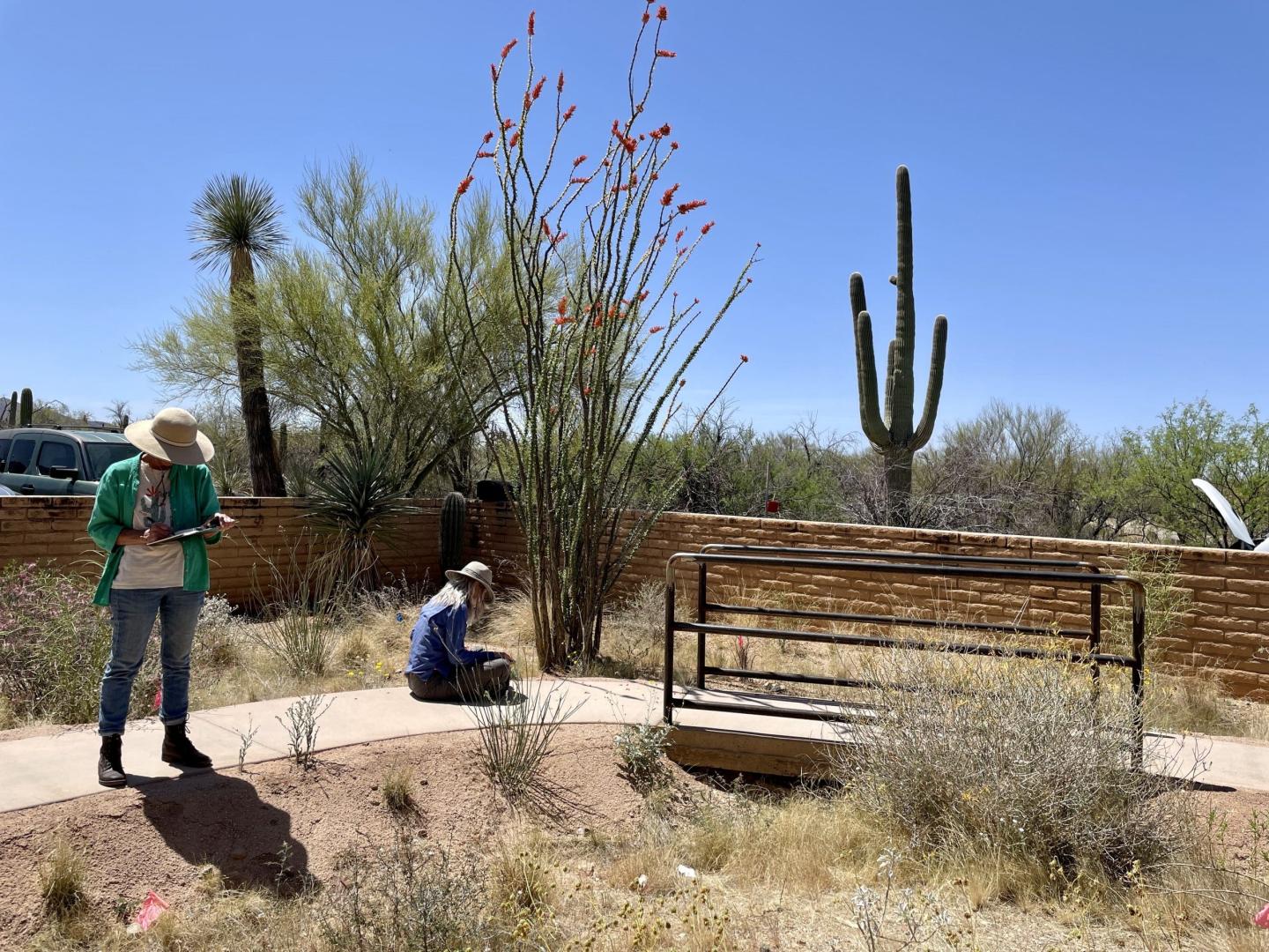 Poetry and National Parks Connect