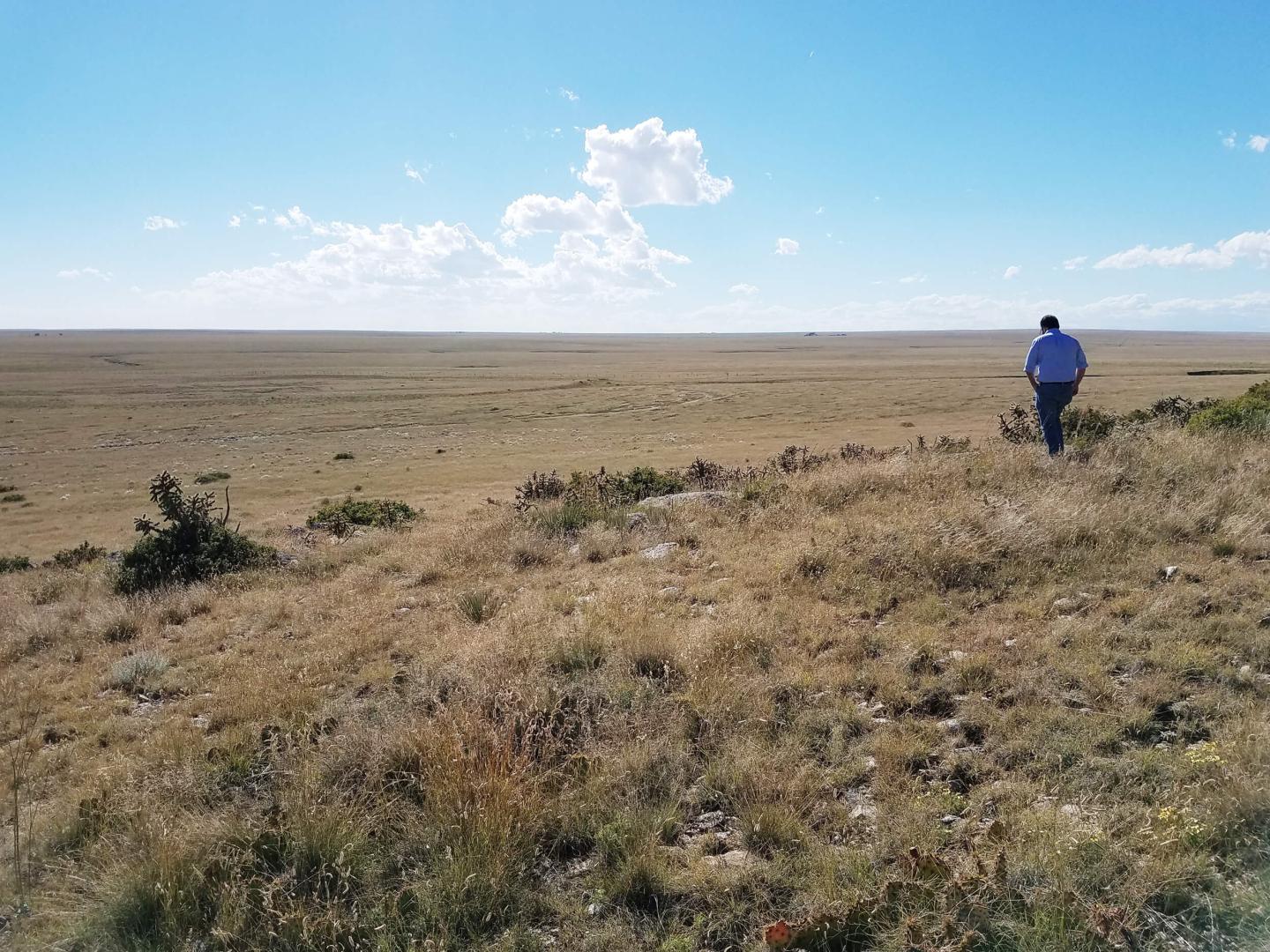 Maps of the Long Walk