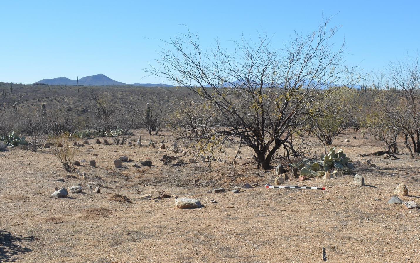 Ceramic analysis of material excavated in the 1970s at the Loma Alta Site, Saguaro National Park