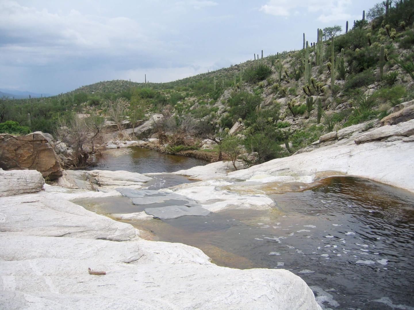 Protecting Riparian Areas through Hydrological Monitoring