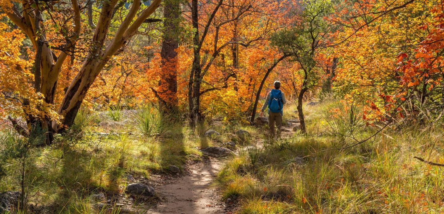 Add Some Color to Your Life: Autumn at Guadalupe Mountains National Park