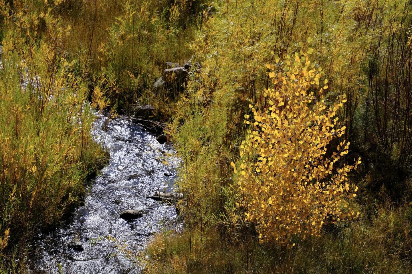 Change comes to Frijoles Canyon