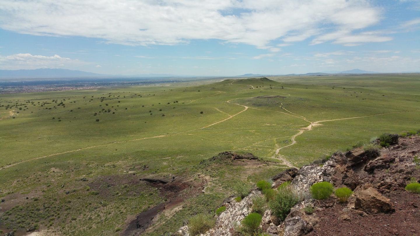 How to Plan Your Perfect Trip to Petroglyph National Monument