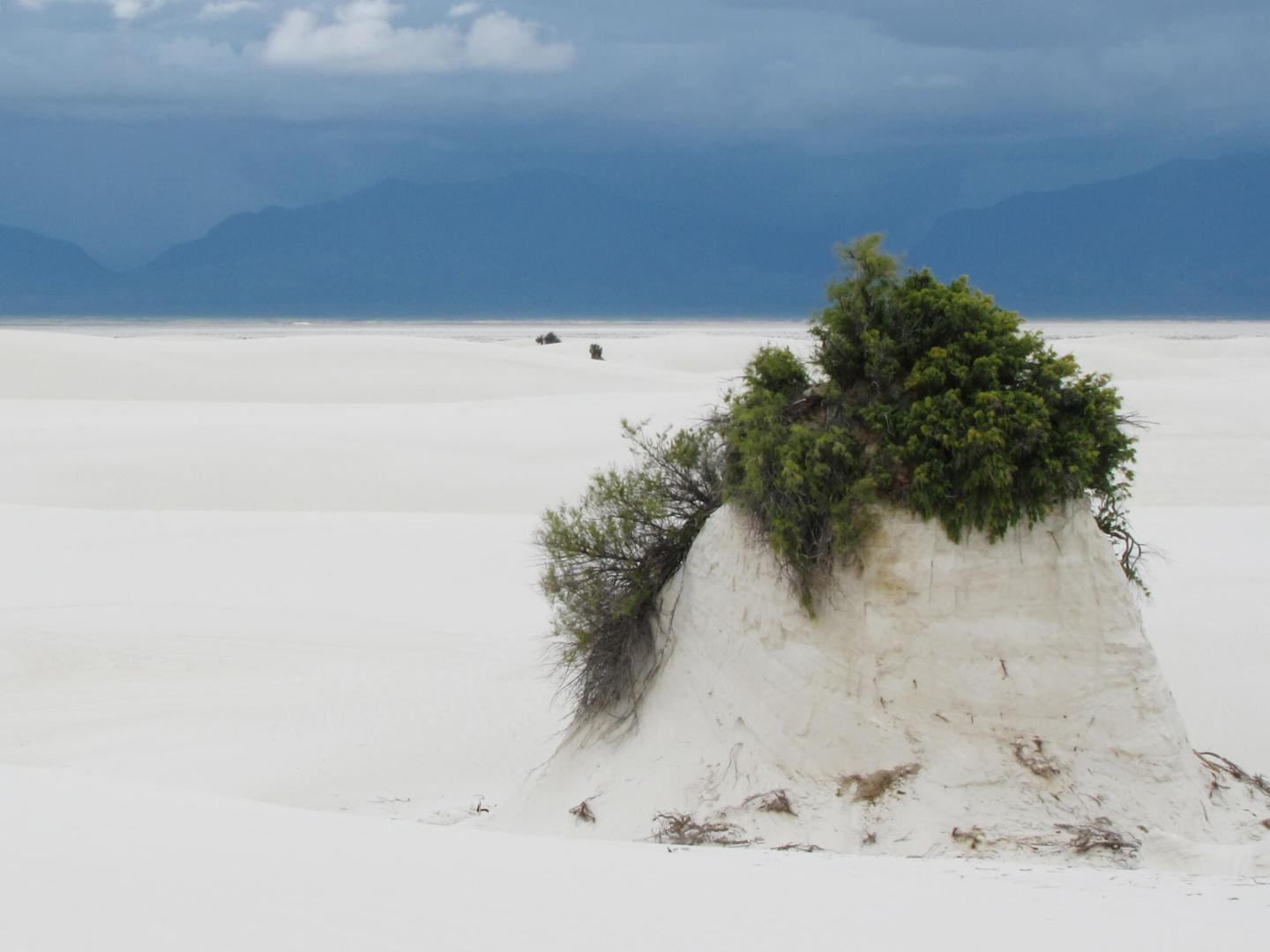 Ten Prehistoric Hearth Sites at White Sands National Monument