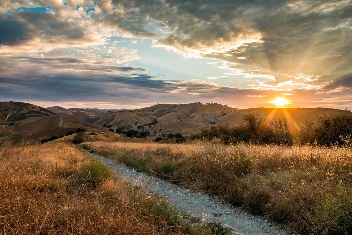 Sunset over grassy hills with a winding dirt path.