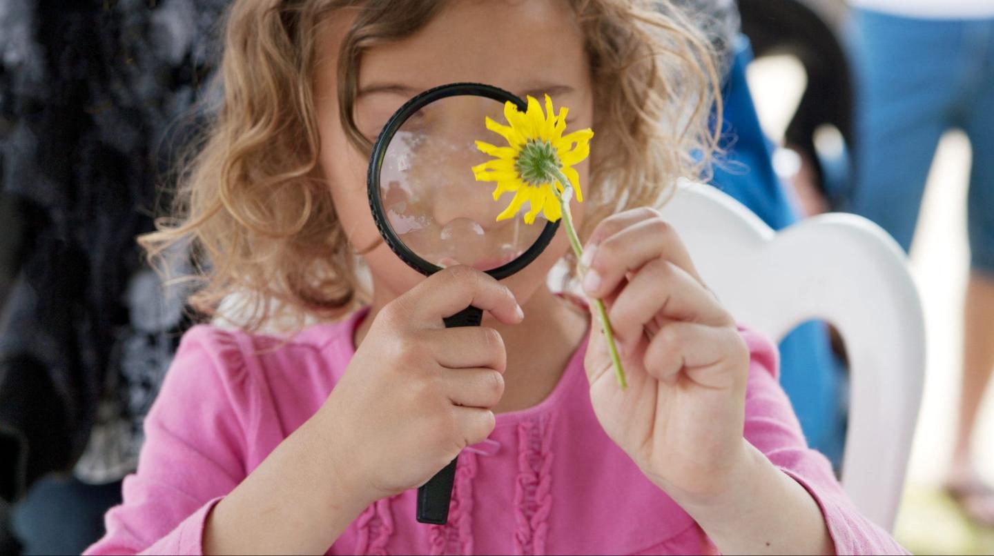 Child examining a yellow flower through a magnifying glass.