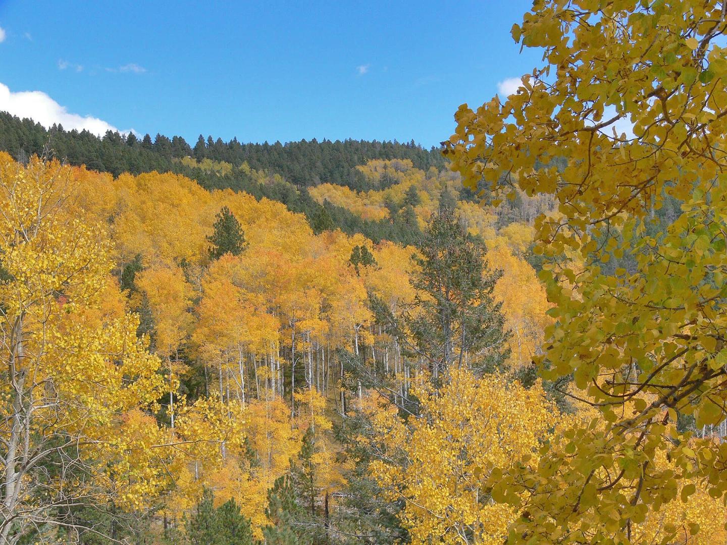 Bandelier photo