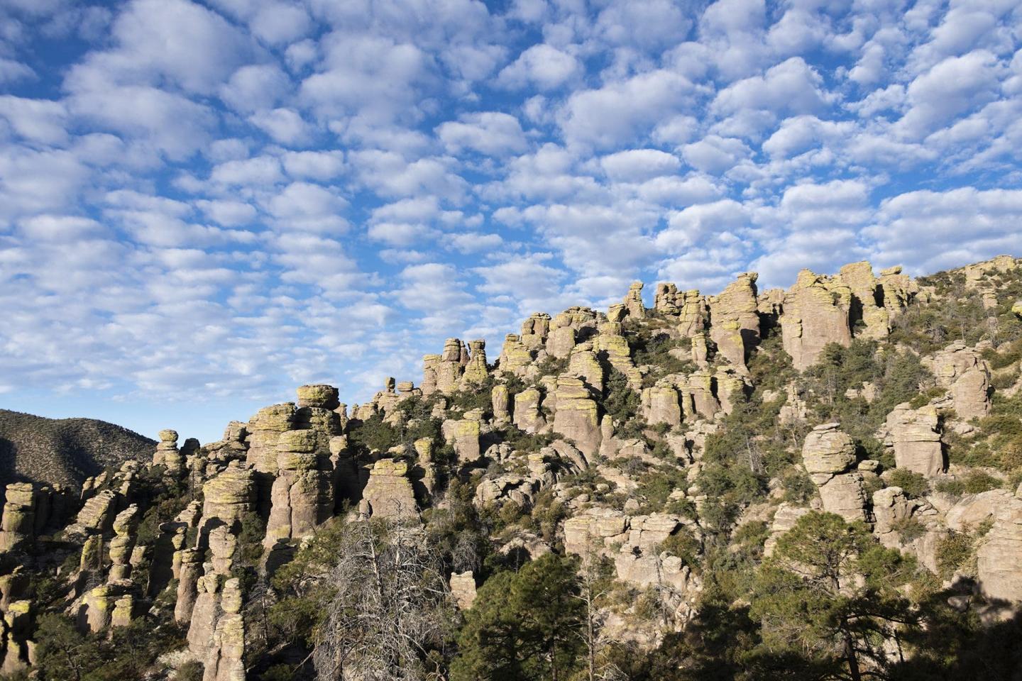 Chiricahua photo