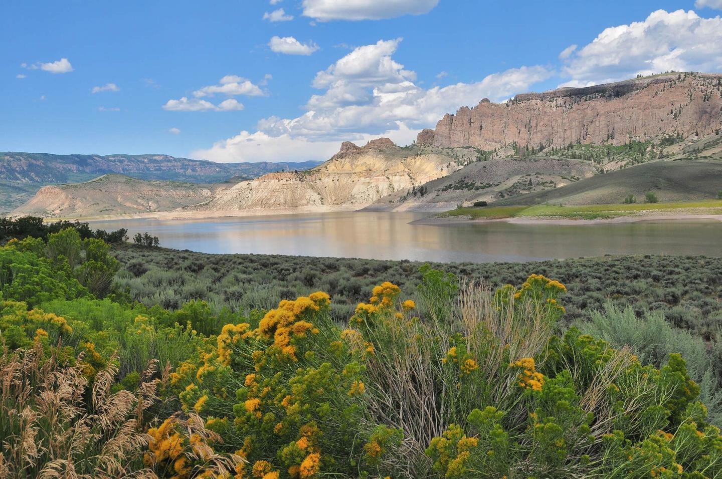 Explore Curecanti National Recreation Area