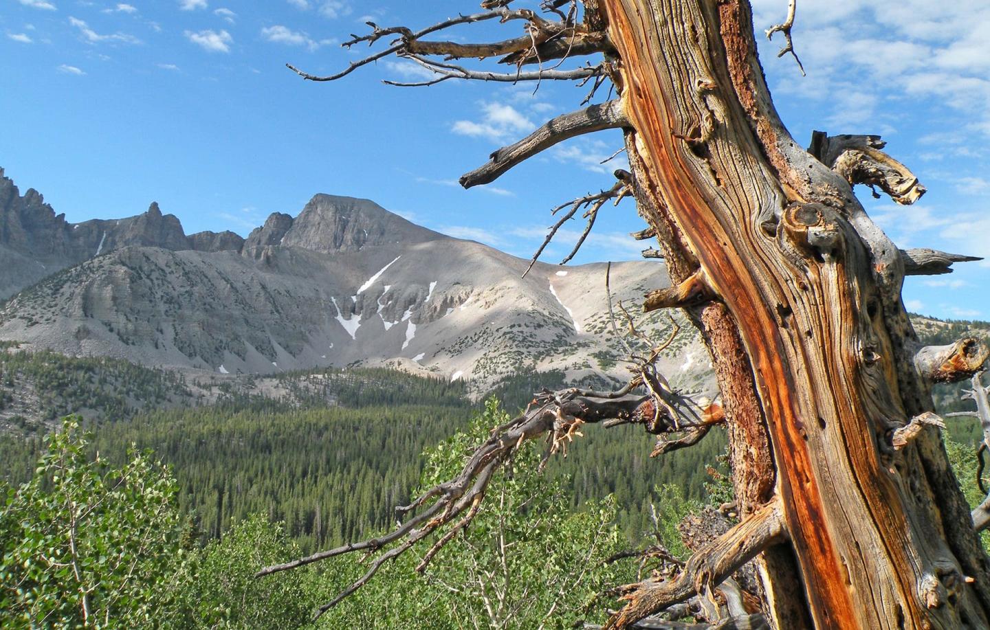 Great Basin photo