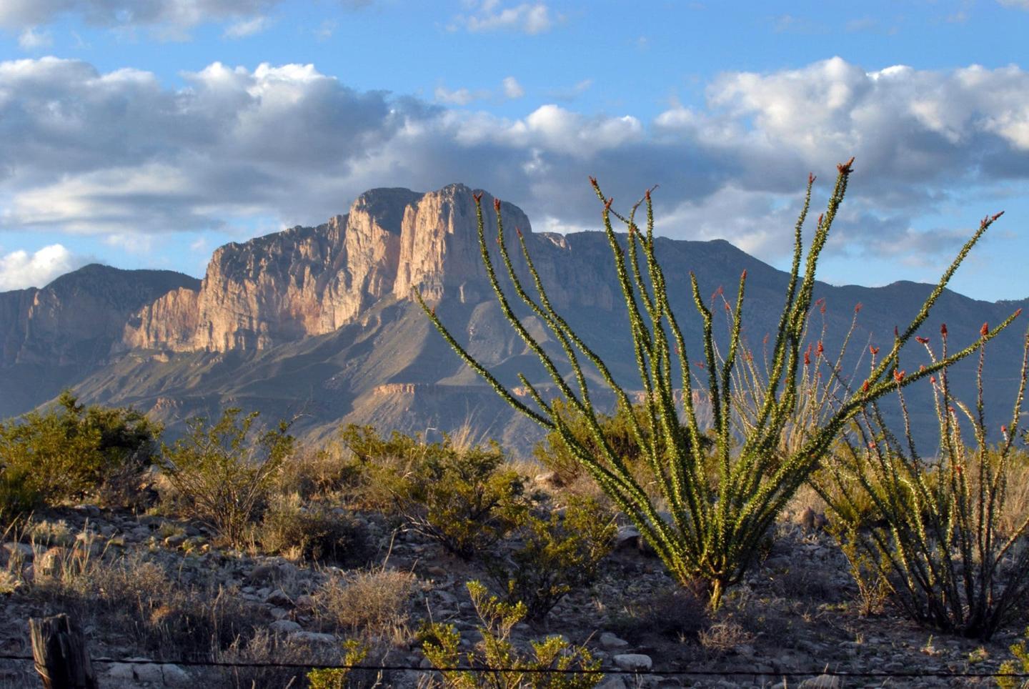 Guadalupe Mountains photo